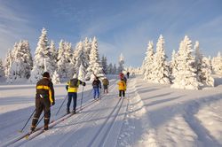 Chambres d'hôtes de charme , Activités en chambre d'hôtes , Sports et loisirs , ski-de-fond