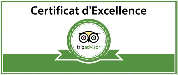 trip advisor excellence