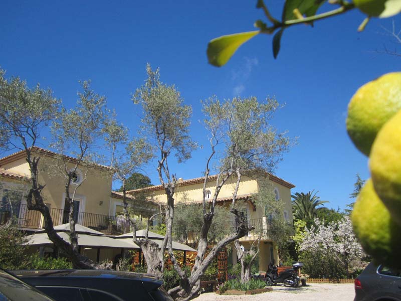 Chambres d'hôtes Sanchis antibes 06600 N° 6