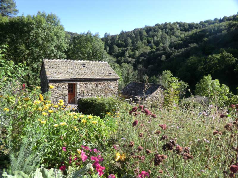 Chambres d'hôtes Mathis saint privat de vallongue 48240 N° 1