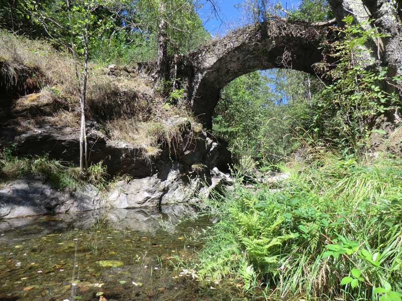 Chambres d'hôtes Mathis saint privat de vallongue 48240 N° 4